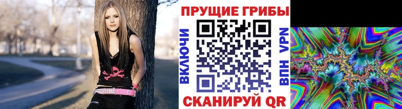 Галлюциногенные грибы мицелий  Купить  Долгопрудный 
